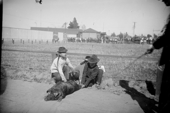 Two men hold a pig down