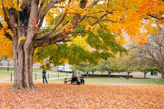 Fall foliage on the Dartmouth campus