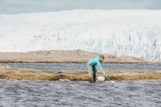 Reyn Hutten ’21 works on an ecology project in Greenland