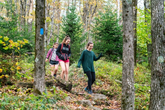 Students hike down a trail at Mount Ascutney