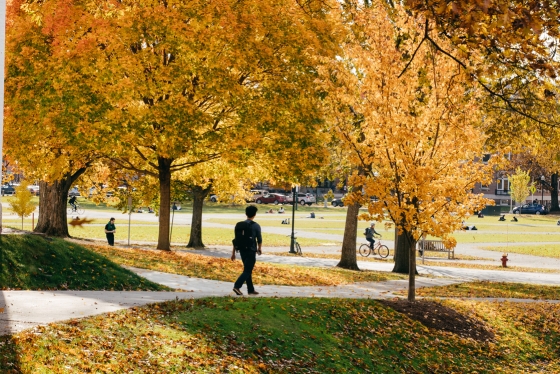 A student walks across campus under golden trees at the end of fall.