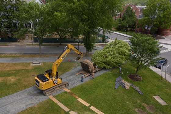Aerial shot of a tree being planted on the Dartmouth green