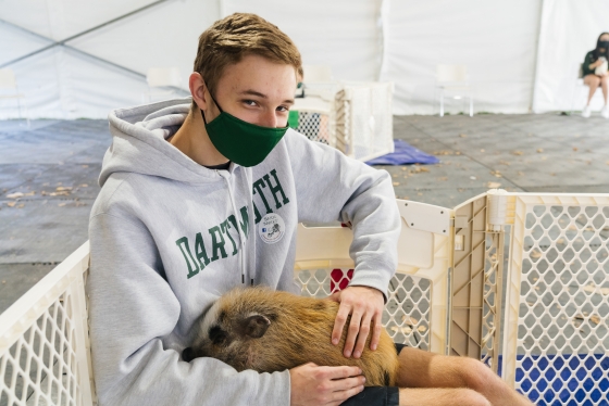 A Dartmouth student pets a baby pig.