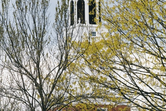 Spring tree budding in front of blurred Baker Tower