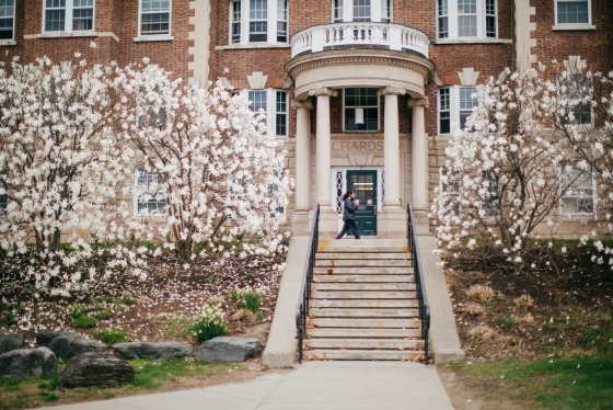 White flowers bloom in front of Richardson Hall