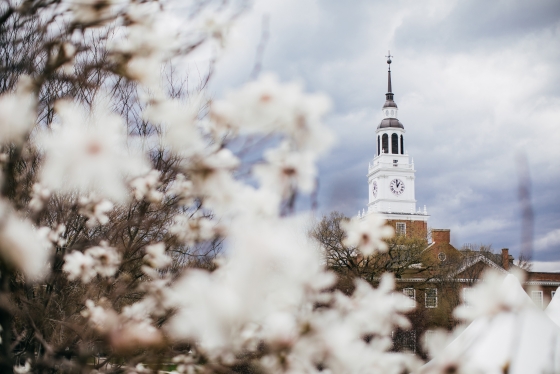 Baker Tower framed by white spring blossoms