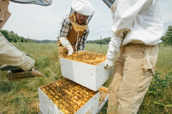 Organic Farm Bee Keepers