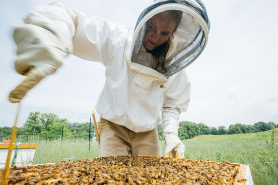 Organic Farm Bee Keepers