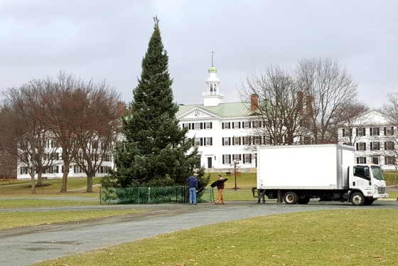 FO&amp;M workers set up lighting for the Christmas tree on the Green