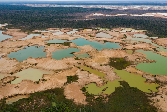 Shallow mining ponds dot the landscape in the La Pampa region of Madre de Dios, Peru. The colors of the ponds reflect suspended sediment and algae growth following the cessation of gold mining.