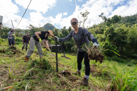 Students work on a volunteer project in Puerto Rico