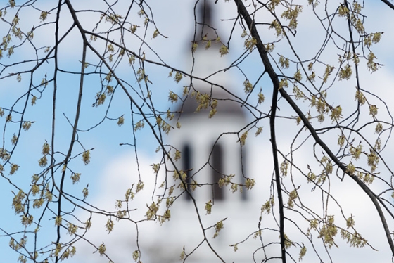 Baker Tower seen through tree branches