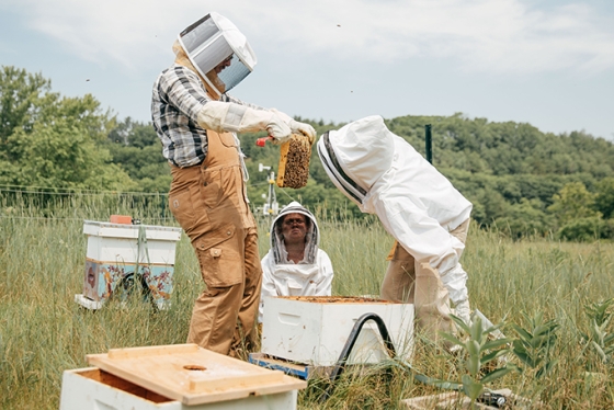 students hold hive frame for Organic Farm Manager