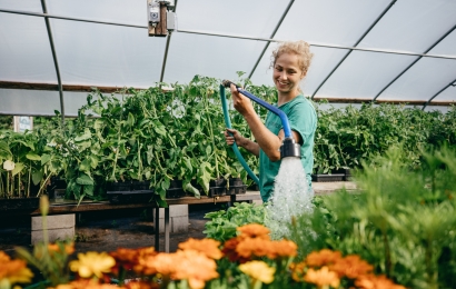 Organic Farm employee Molly McBride '14 waters plants in one of the greenhouses.