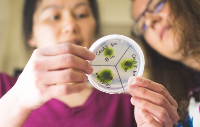 Scientists holding a slide of cells