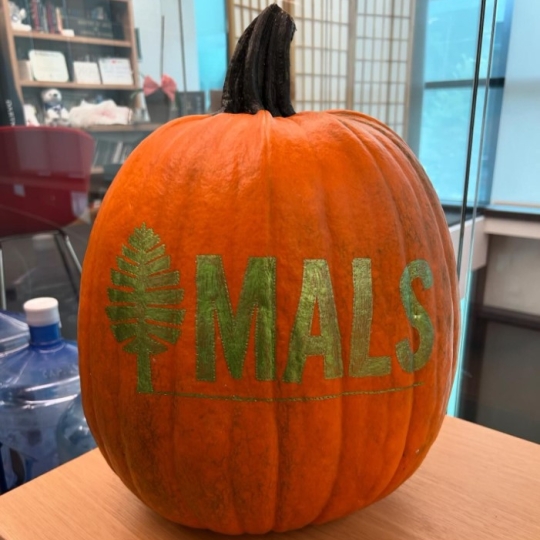 Pumpkin with MALS written on it