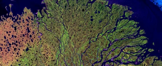 Aerial view of bright green and purple tributaries