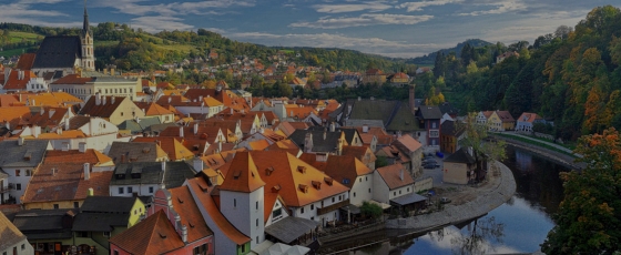 Aerial view of a village with red roofs