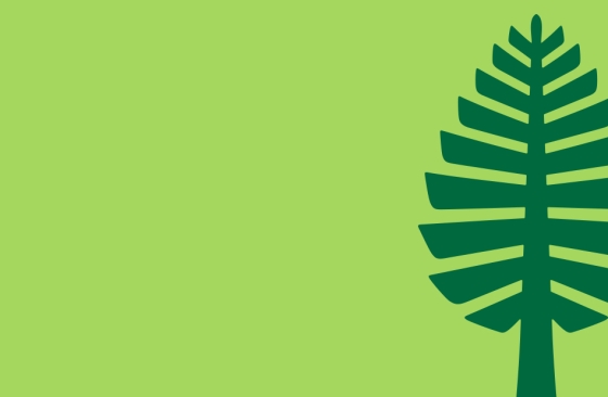 Dartmouth Lone Pine logo