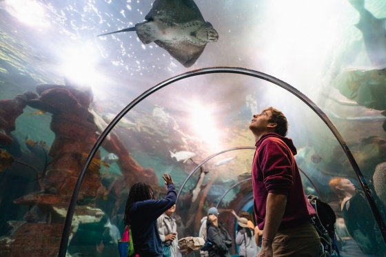 Arne Grette looks at a stingray