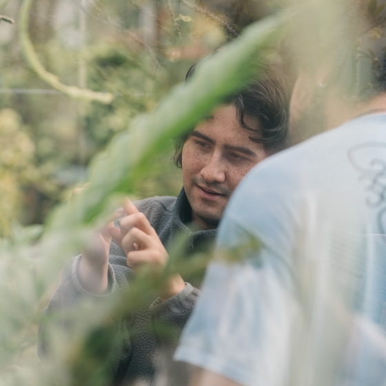 Student visits the LSC greenhouse