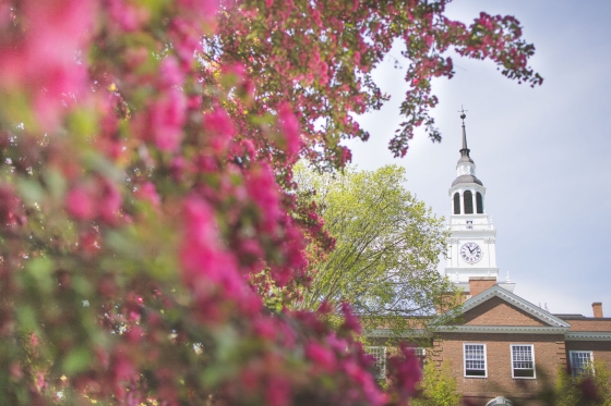 Baker tower with spring flowers