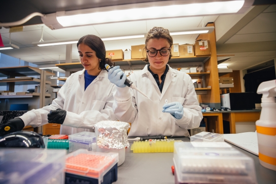 Twisha Bhardwaj '22, left, and Leeza Petrov '22 work in the Hill Lab in the Department of Biological Sciences.