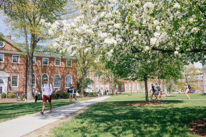Students walk across campus on a bright spring day