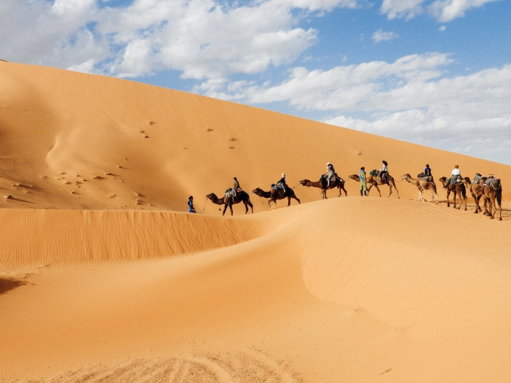 Students riding camels in the Moroccan desert.