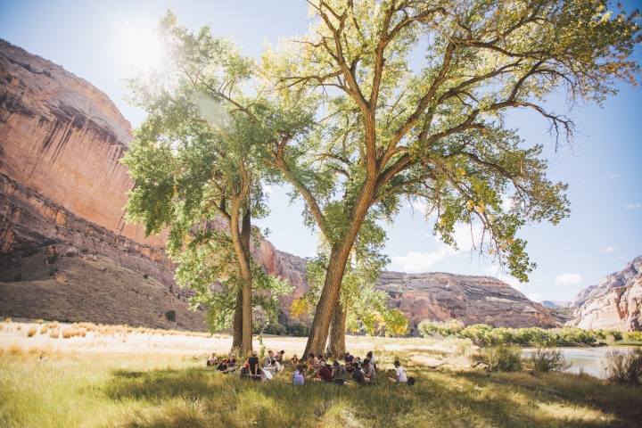 Class under the cottonwood trees in Echo Park, Dinosaur National Monument.