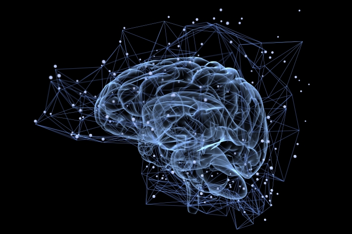 Illustration of the brain's thought processes.