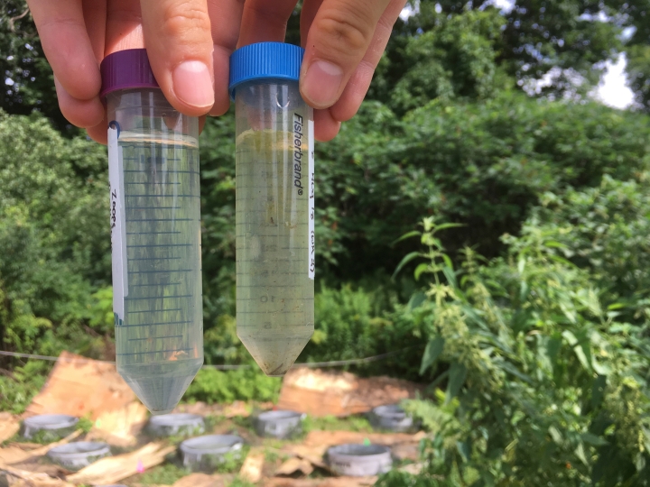 Water samples at the test site in Hanover.