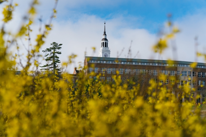 View of Baker Tower over blooming forsythia