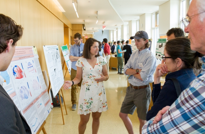 Students use posters to demonstrate their undergraduate research