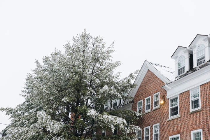 A snowy pine tree outside a Dartmouth dorm building