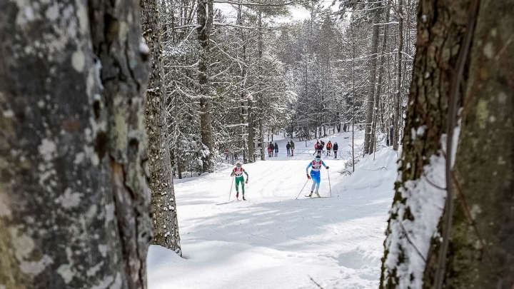 Skiers going up a snowy hill