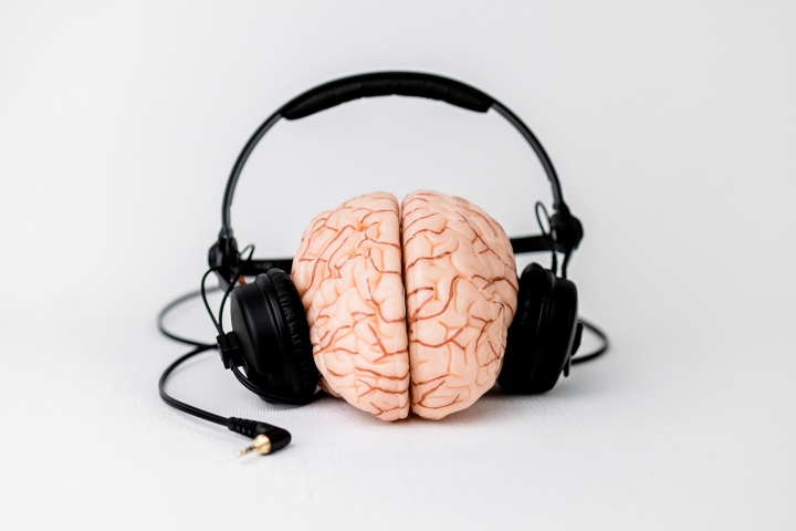 Fake pink brain with headphones
