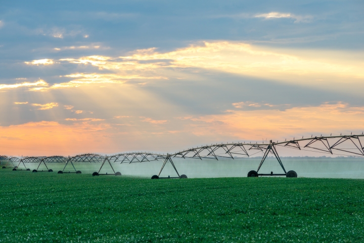 Sprinkler system in a soybean field