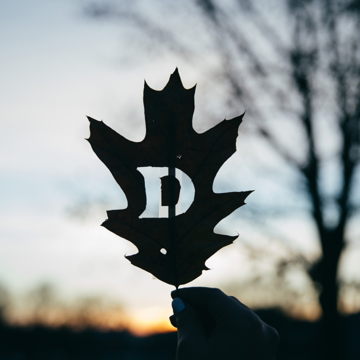Leaf with a D in the middle