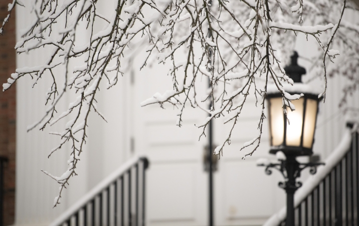 Railings with snow on them