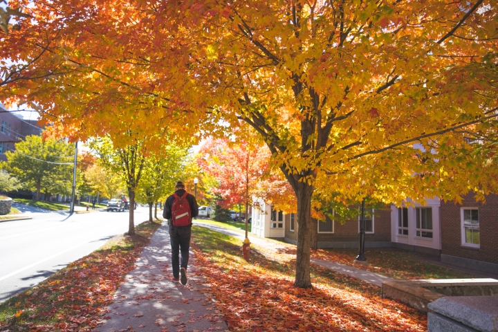 Foliage on campus