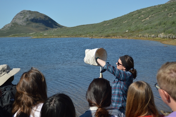 Arctic postdoctoral fellow Lauren Culler