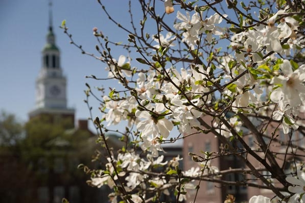 Baker Tower and flowers