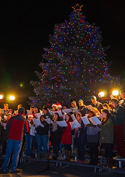 Carolers singing in front of the tree on the green