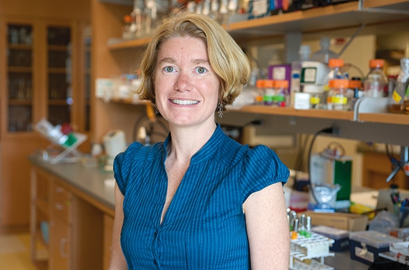 Associate Professor of Biological Sciences Amy Gladfelter