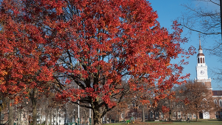 a tree with red leaves in front of Baker Tower
