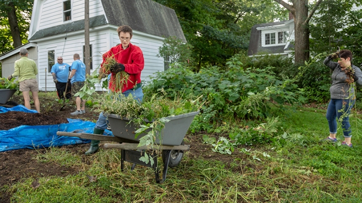 a Dartmouth staff member clearing weeds from a flower bed
