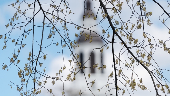 Baker Tower seen through tree branches
