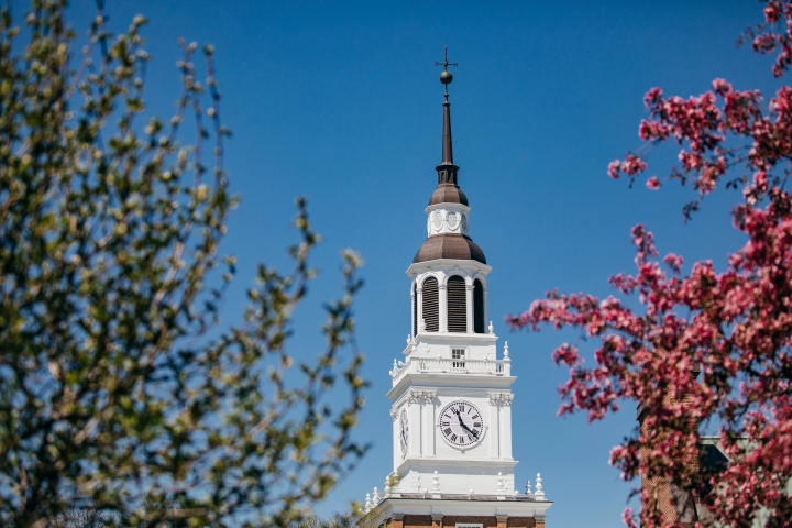 Spring flowers at Dartmouth