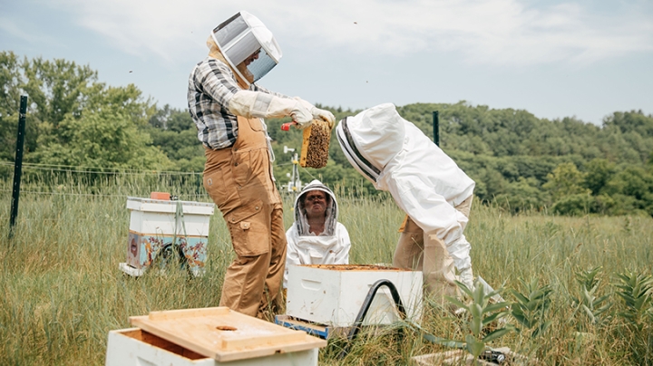 students hold hive frame for Organic Farm Manager 